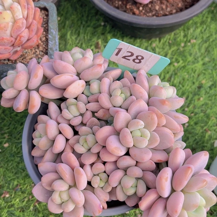 健健康康平平安安