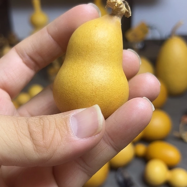 楊***生小葫芦一物一拍一个