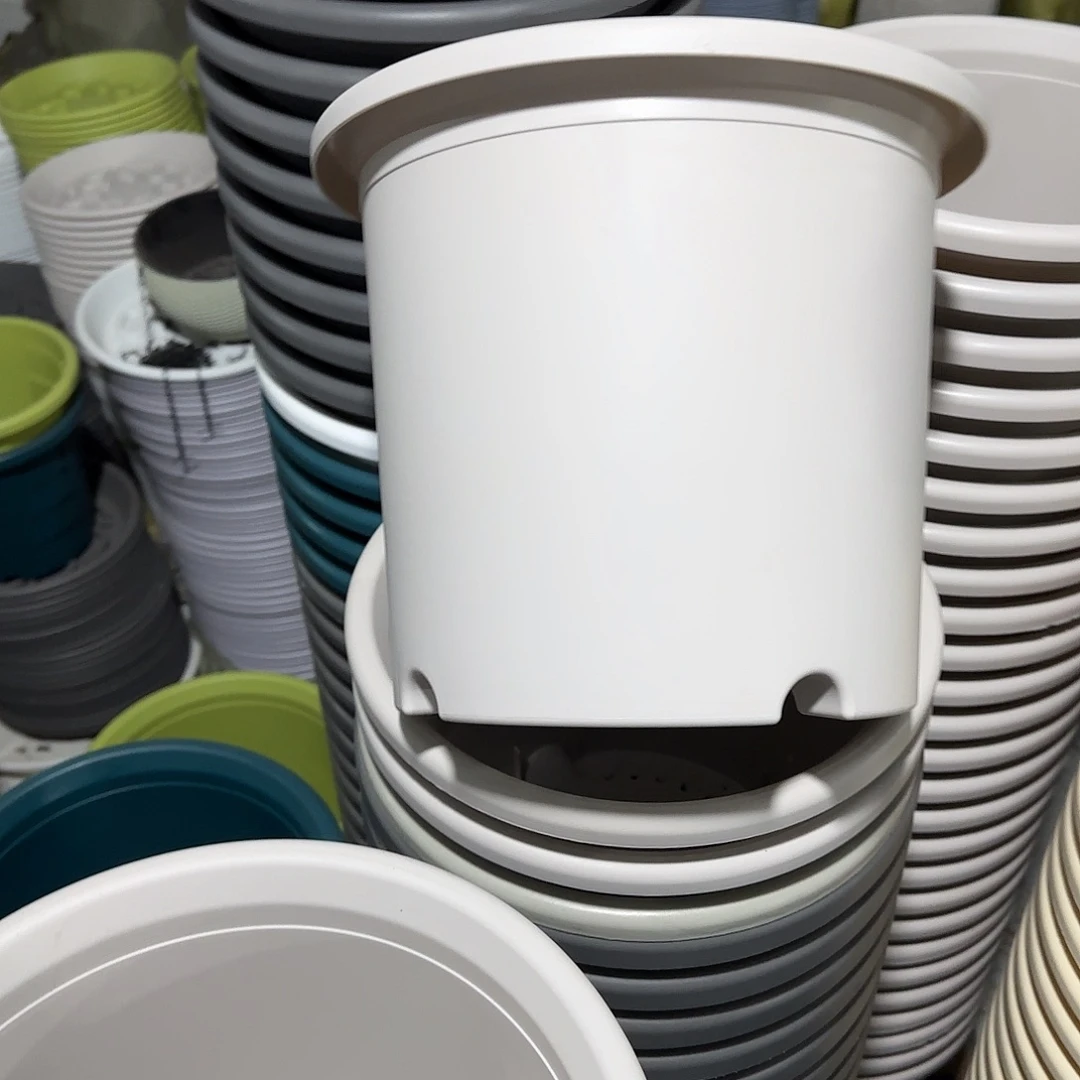 微瑕2号6个带托，灰白