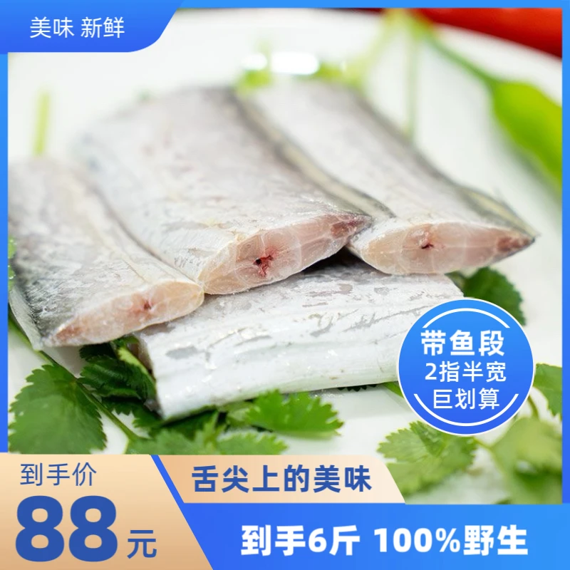 正宗舟山小眼油带（段） 2指半宽  6斤
