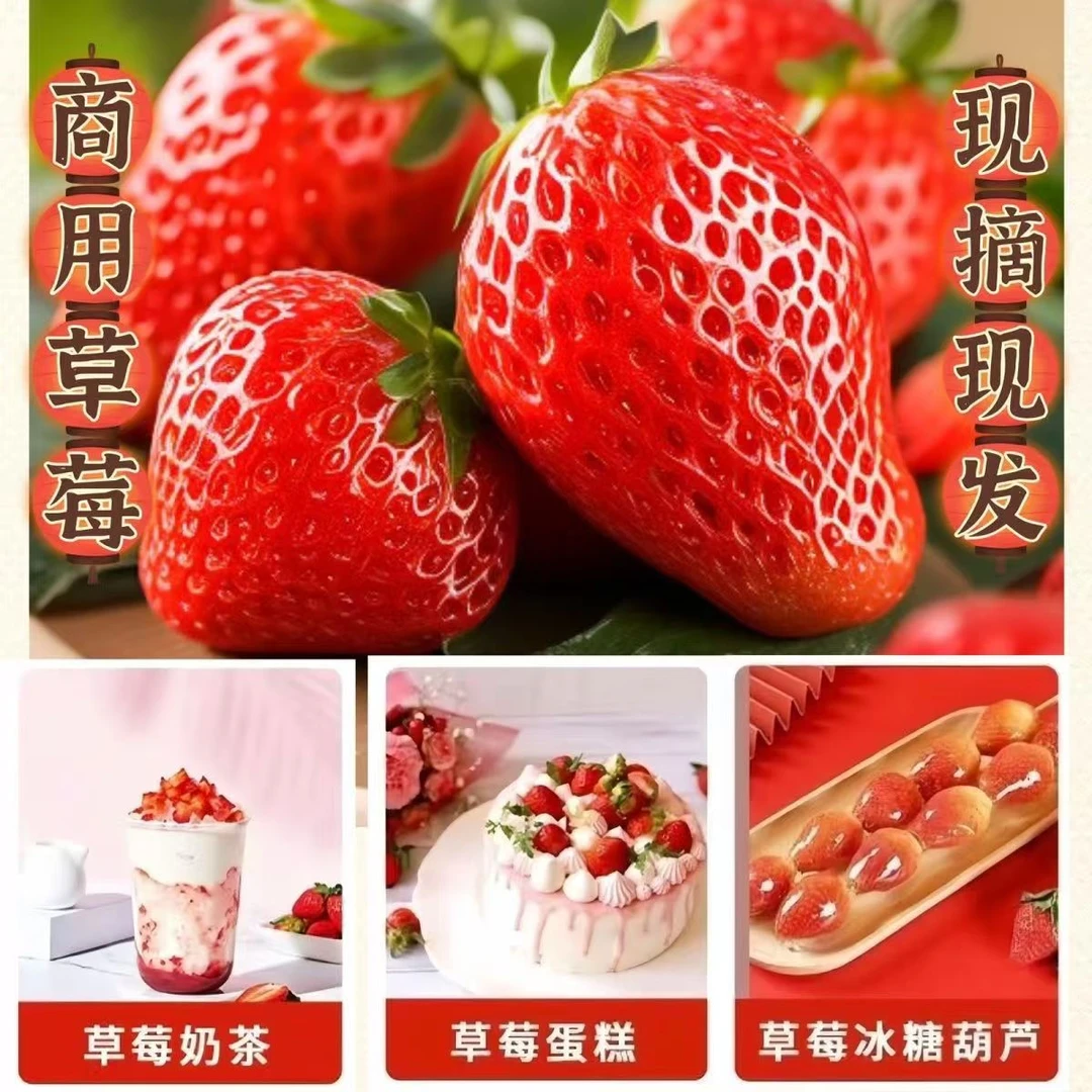 【特惠装】红颜九九