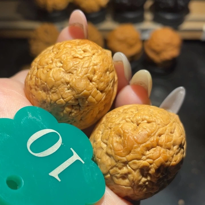 菩提籽类脑纹35尺寸核桃