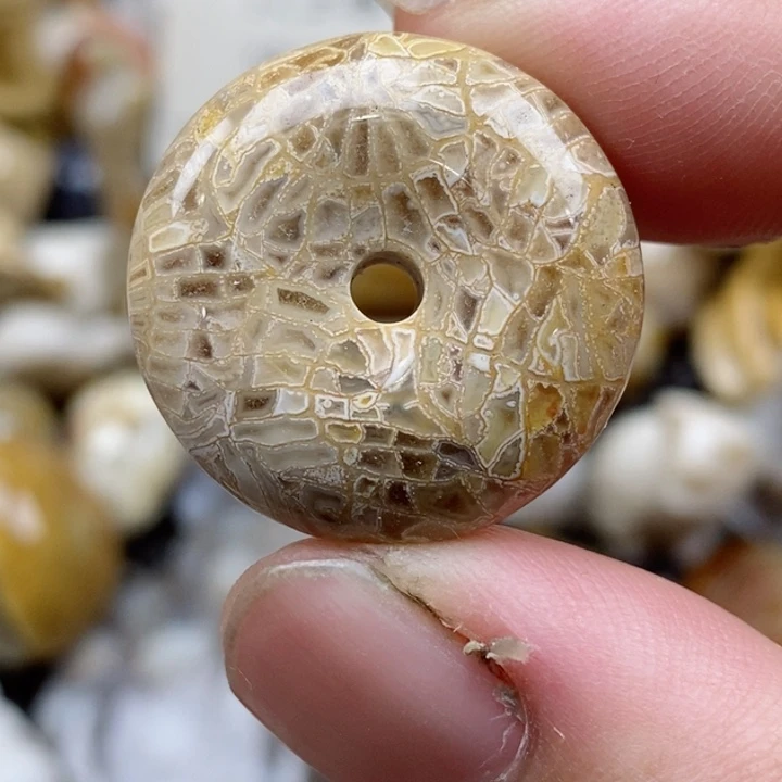 颈饰未镶嵌硅化珊瑚（珊瑚玉）小