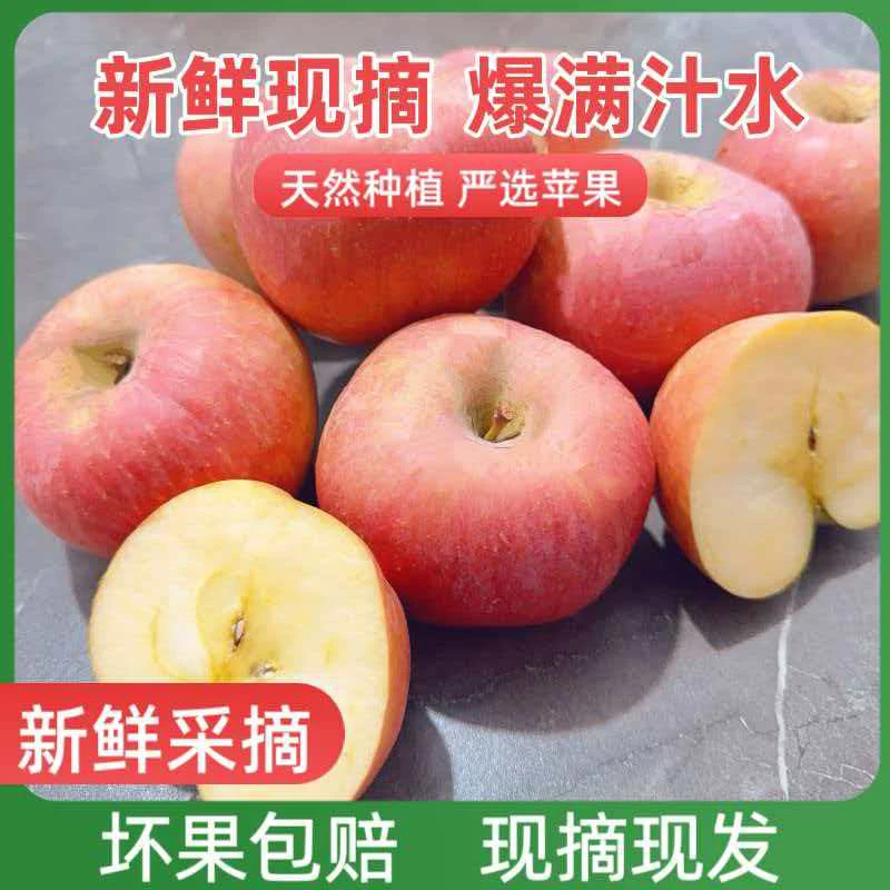 陕西冰糖心红富士苹果新鲜现摘当季脆甜多汁水果产地直发