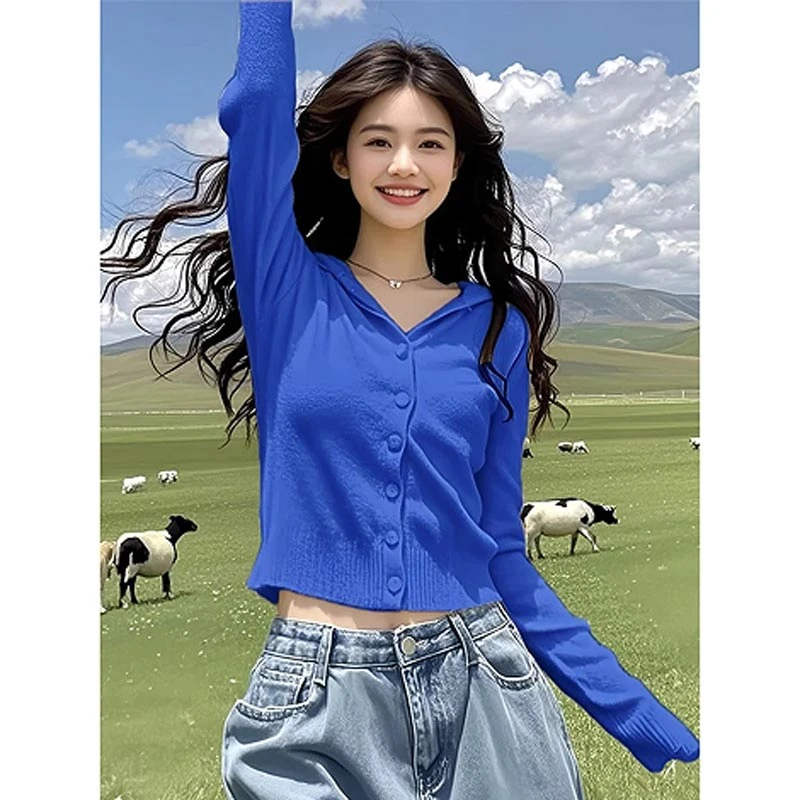 韩式爆款欧若风纯色系连帽针织上衣女2025春秋新款高级感百搭上衣