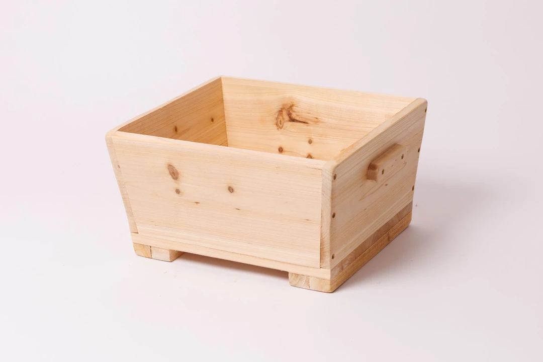 直播间专拍杜鹃松柏杉木花盆链接