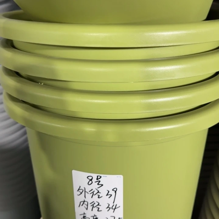 微瑕8号无托果绿5个