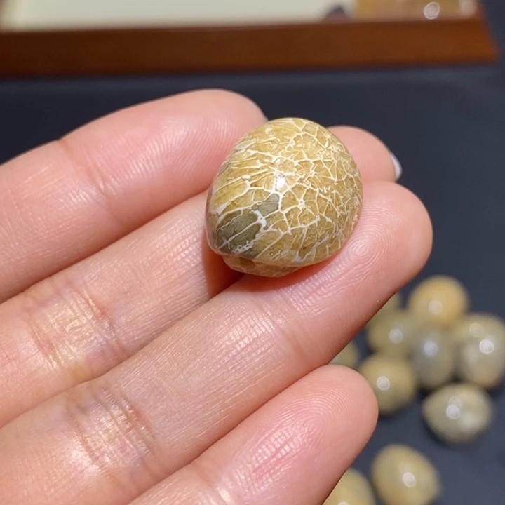 【闪购商品】未镶嵌珊瑚玉硅化玉