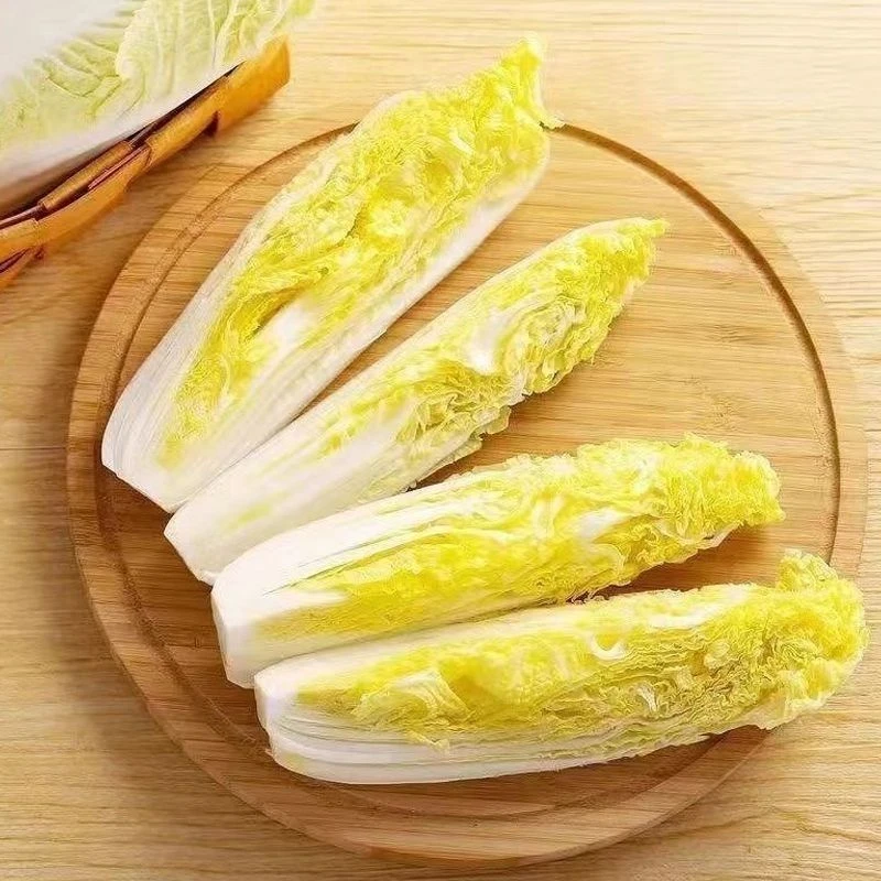 嫩脆香甜】2025年新鲜蔬菜东北黄心娃娃菜高山种植产地直发 X