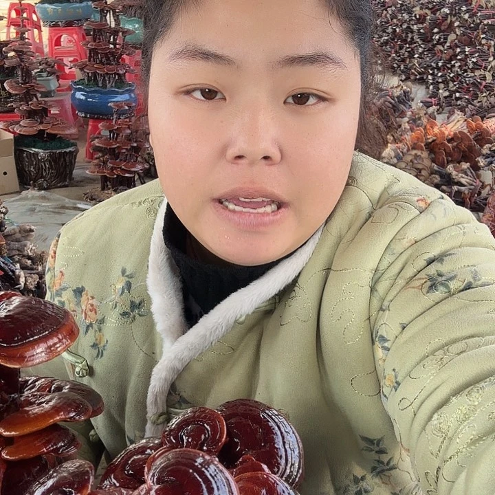 无花朵福**照灵芝花开了吗