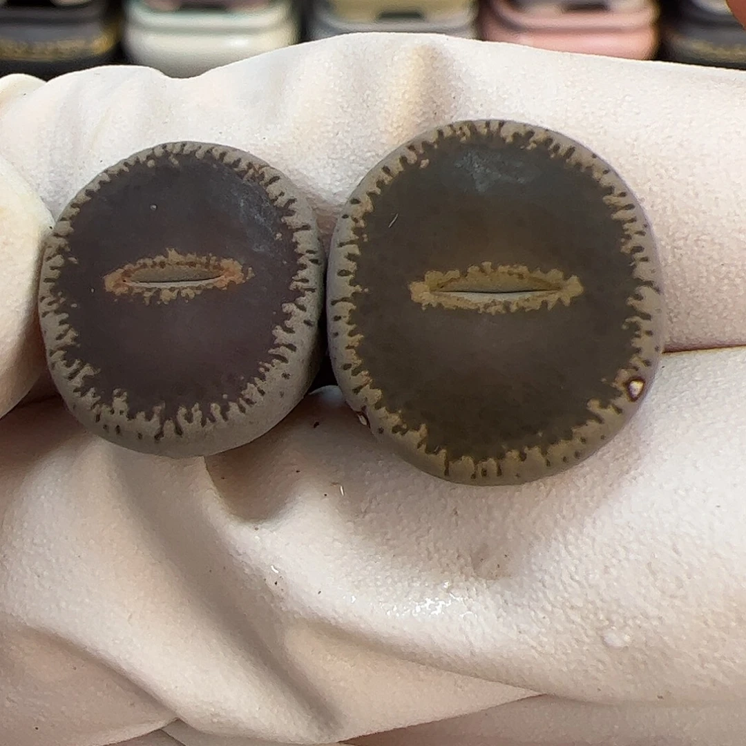 生石花多肉和田玉2棵