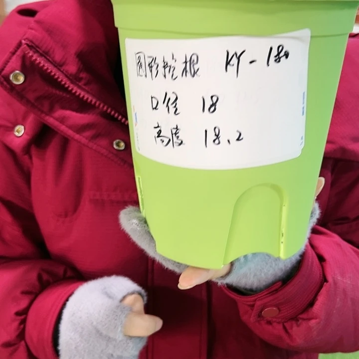 正品圆控口18高18果绿色无托8只