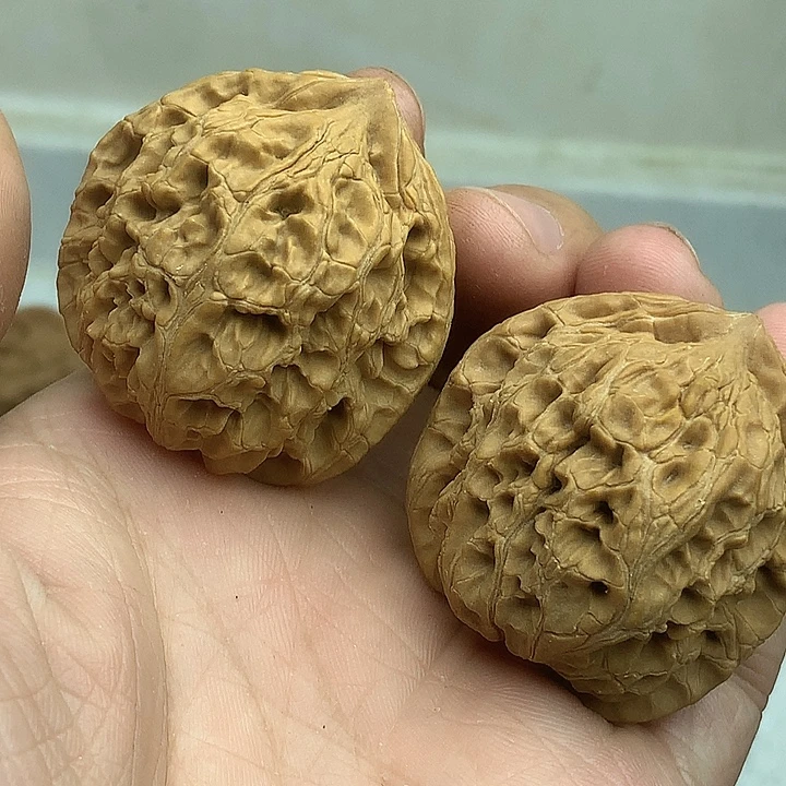 乐***路吊坠文玩核桃39 水龙纹