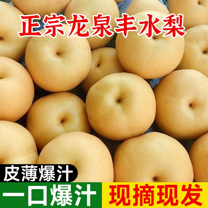 正宗龙泉丰水梨现摘现发精选大果坏果包赔脆甜多汁