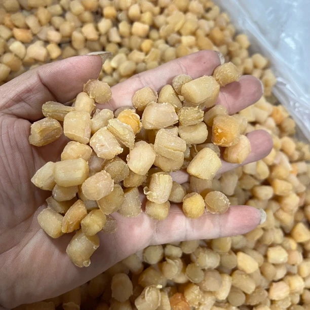 5号500-182型号580个左右干贝瑶柱煲汤煲粥蒸水蛋营养海鲜干货
