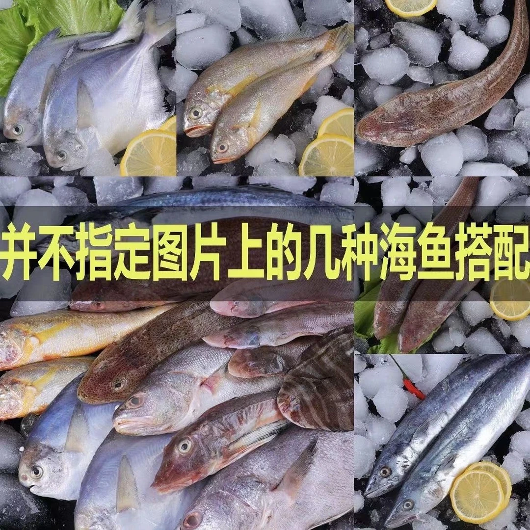 【直播搭配】海杂鱼小杂鱼阳江南海混装大套餐海鲜