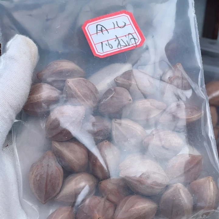 手串/手链橄榄核橄榄17