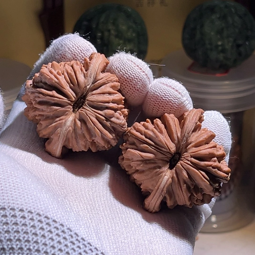 咖***o全品。45扣子 全品。