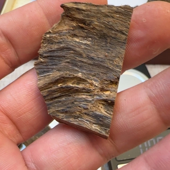 摆件沉香香港树根油2克