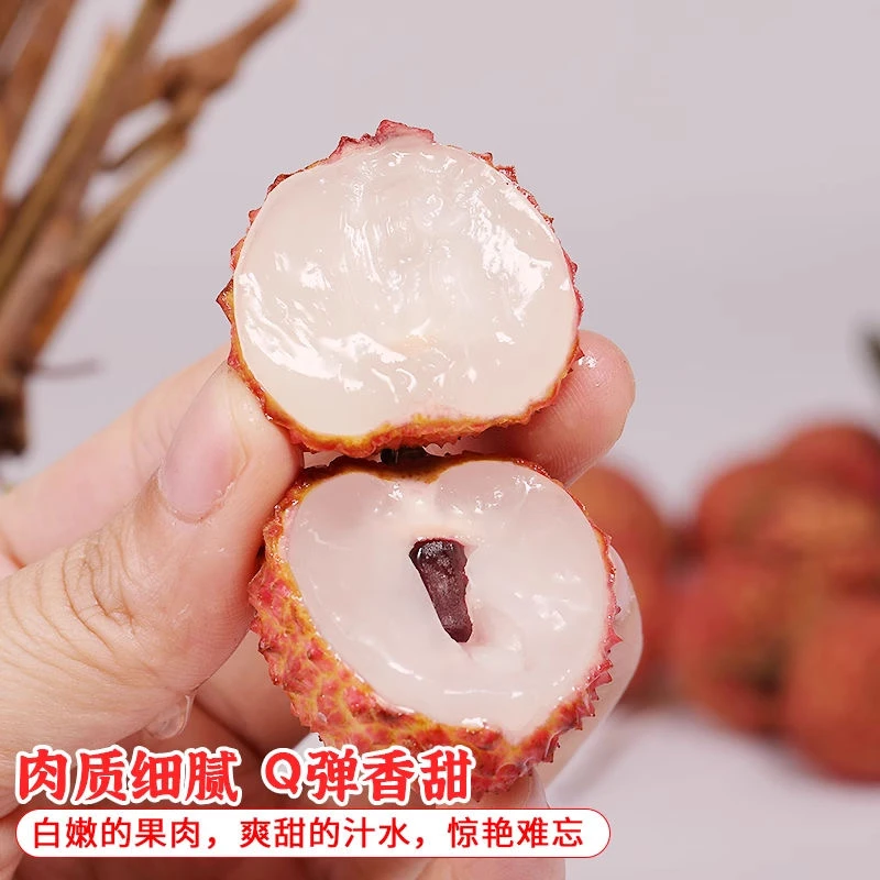 【助农专属】现摘当季广东饶平桂味糯米糍荔枝新鲜水果