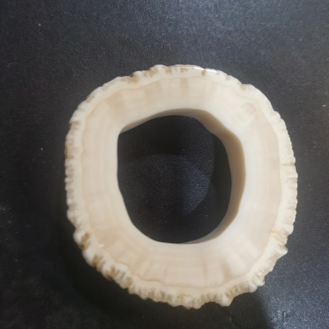 猛犸猛犸独饼子WT231