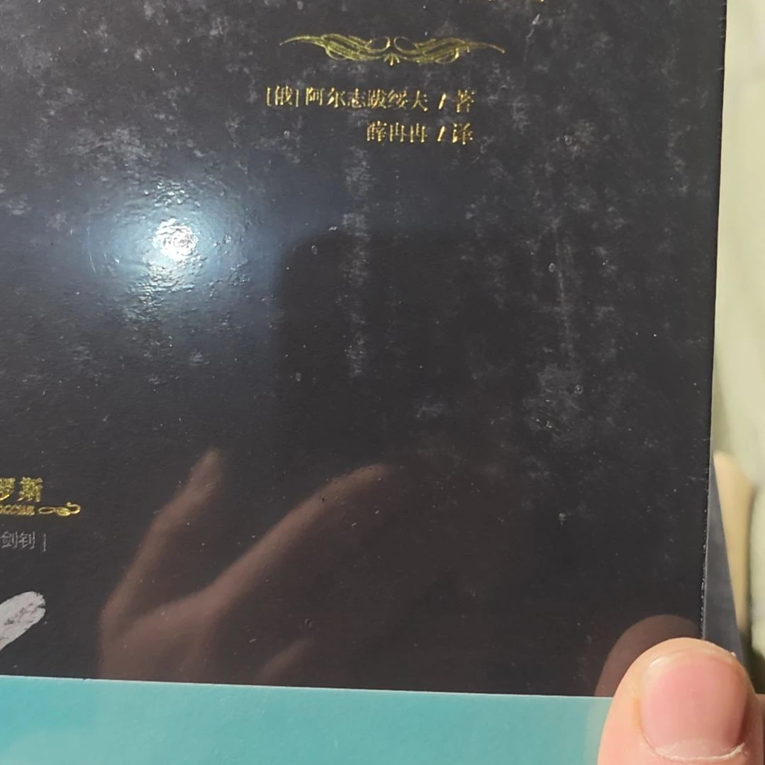 小妇人的罗曼史精装塑封