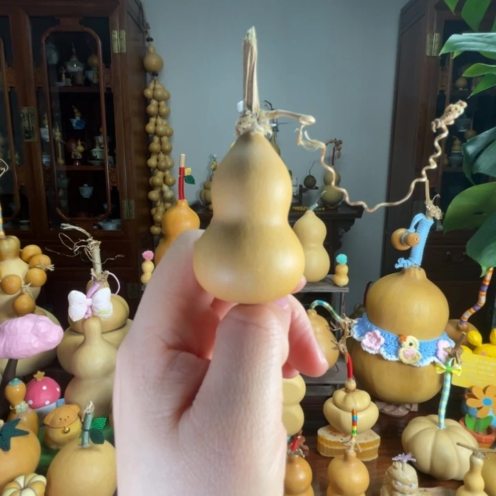 福福葫芦厚皮响籽