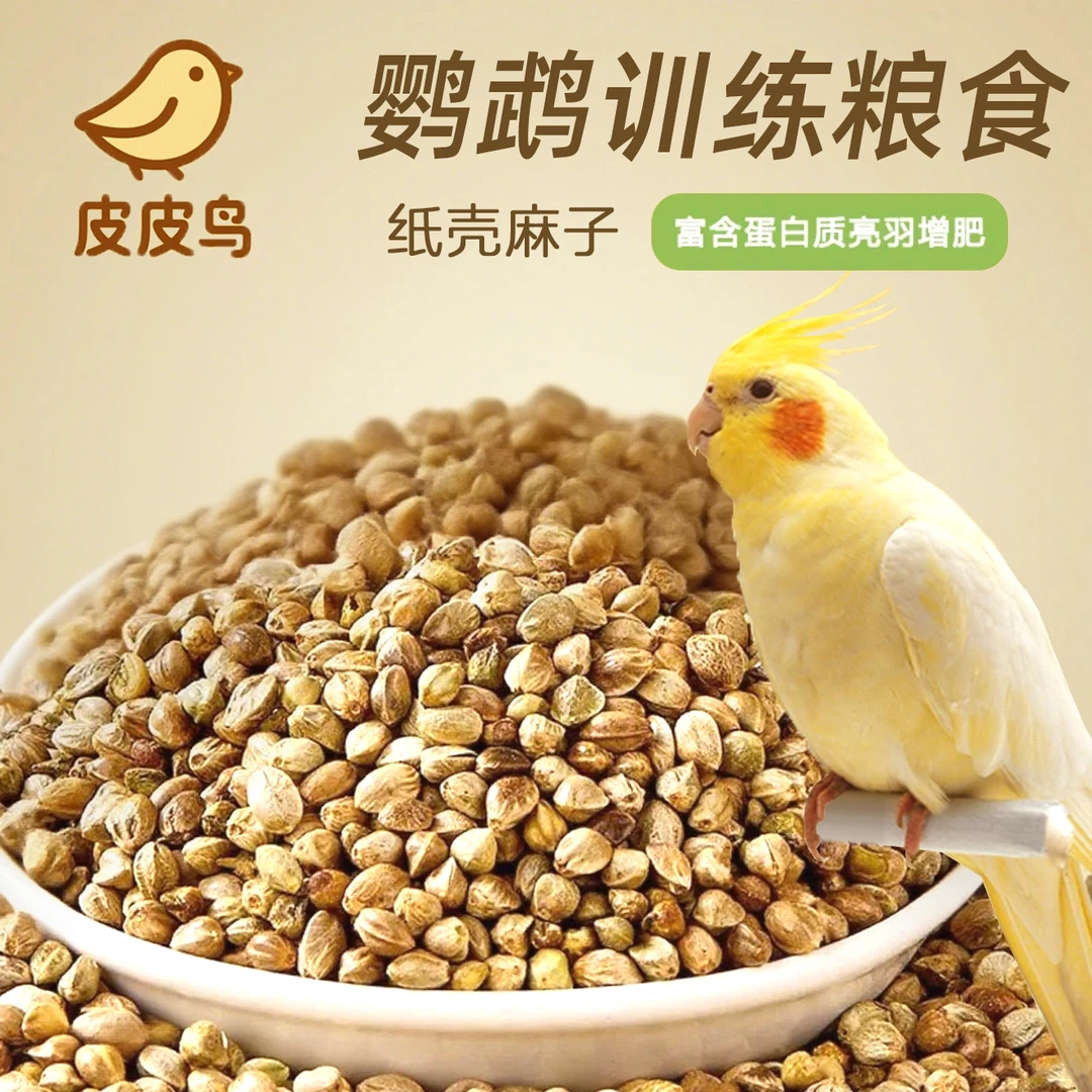 纸壳麻子玄风牡丹小太阳和尚奖励零食鹦鹉鸟粮增肥大颗粒鸟食JGX
