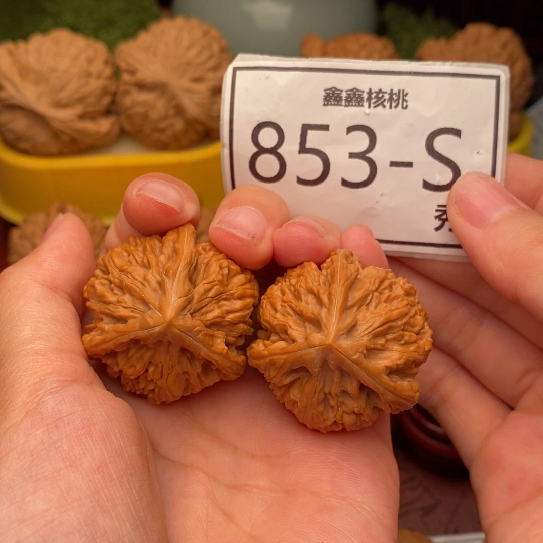 文玩核桃把件玉龙奔36