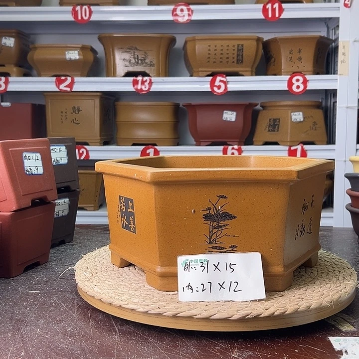 紫砂花盆蛇年大吉