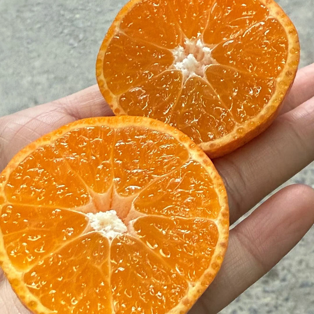 砂糖橘 净重3斤 散装 纯甜口 橘味浓郁 正宗