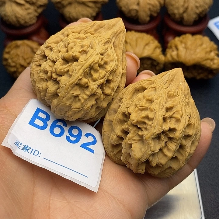 把件文玩核桃大沽石4.4克重52