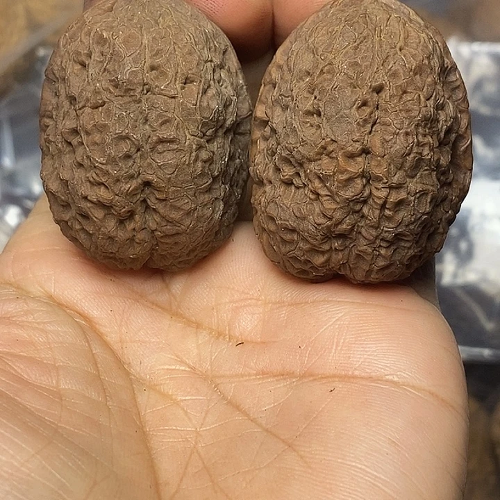 文玩核桃把件云南铁核桃94