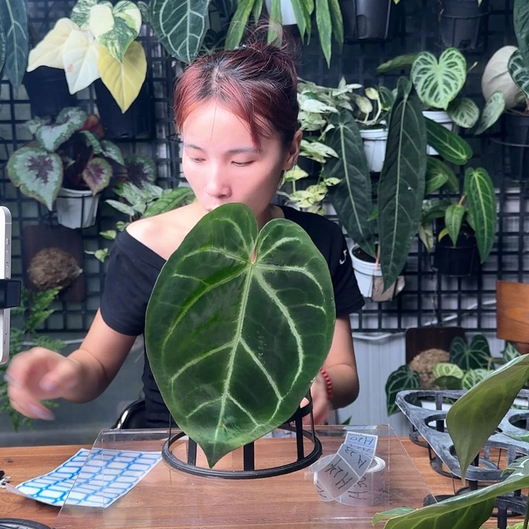 完全开放福利多多9.9