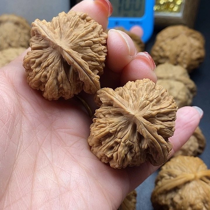 用***7吊坠龙脊菩提楼41