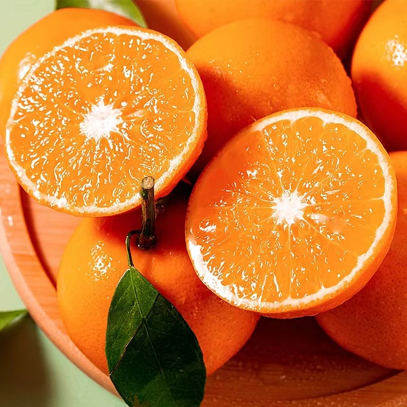 【云舍专属】云南新鲜高原沃柑新鲜多汁柑橘