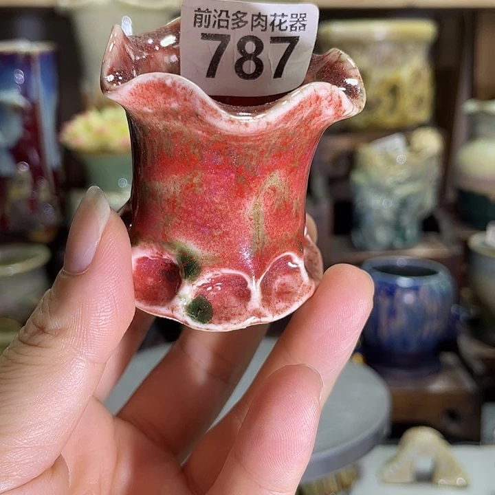 狼盆内口径3高度5