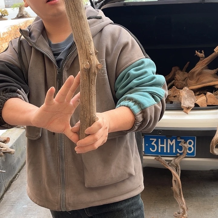 风***水柏木（崖柏）T777777777