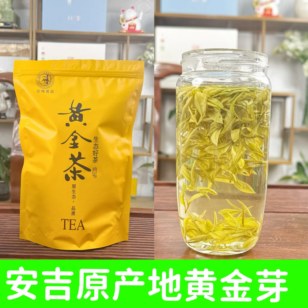 25年新茶(口粮黄茶)黄金叶黄金芽豆香栗香原产地安吉浓香耐泡
