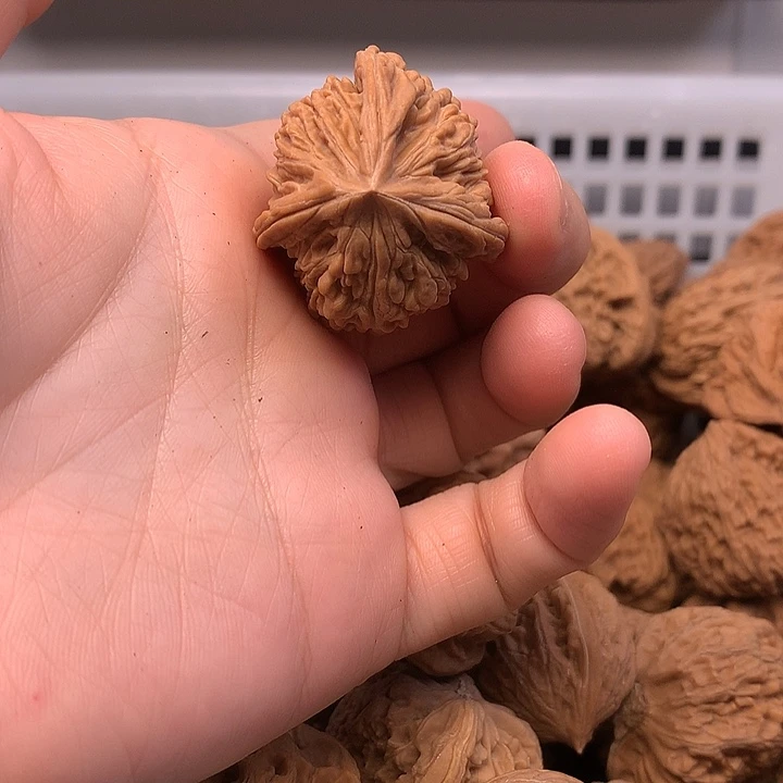 T***y吊坠文玩核桃文玩核桃