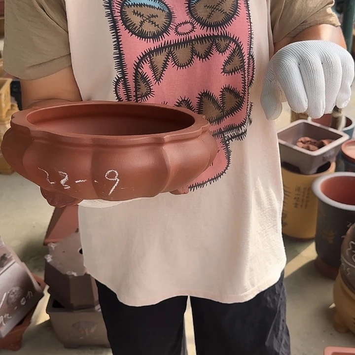 在这片美丽之乡上海