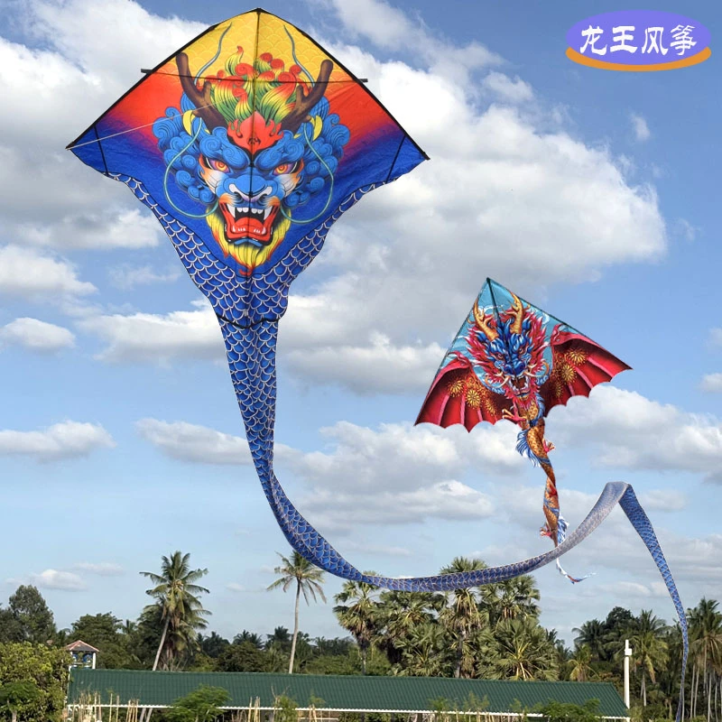 大龙风筝初学者风筝微风易飞个性潍坊专业高档风筝