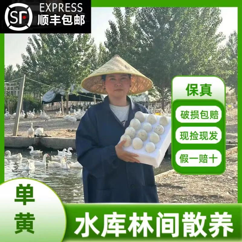 【鹅小妹】农家水库散养土鹅蛋12枚装保真现捡现发 破损包赔