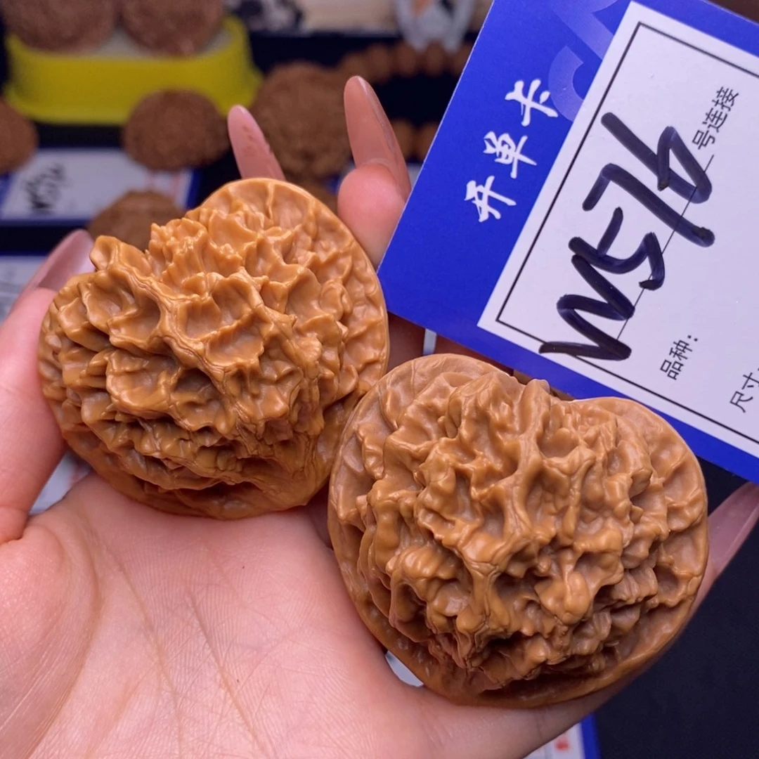 W576链接 帝王50尺 000