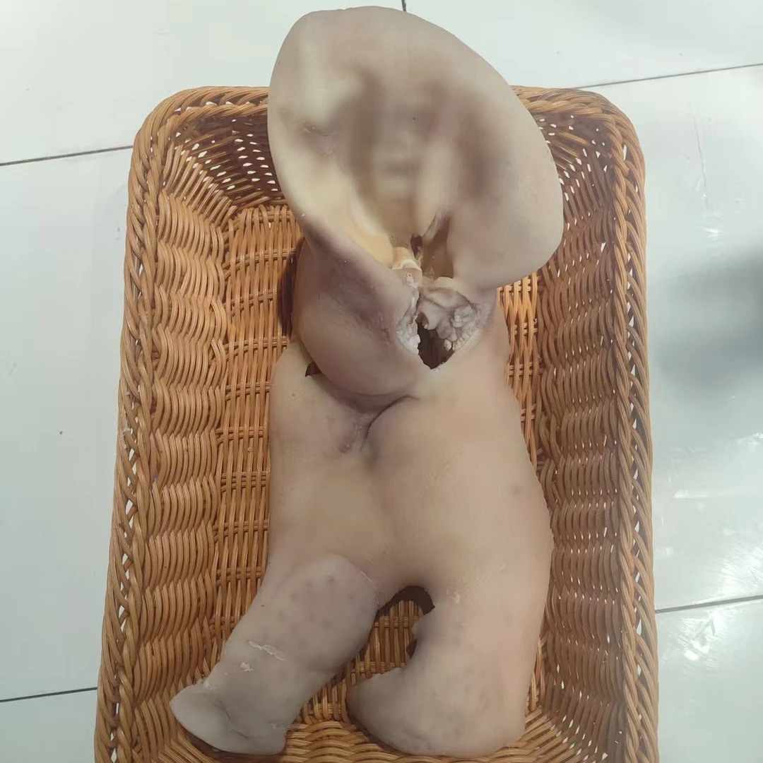 新鲜带耳朵猪头皮7分熟5斤3️⃣个