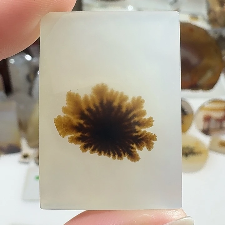 玛瑙/玉髓未镶嵌珠宝奇石