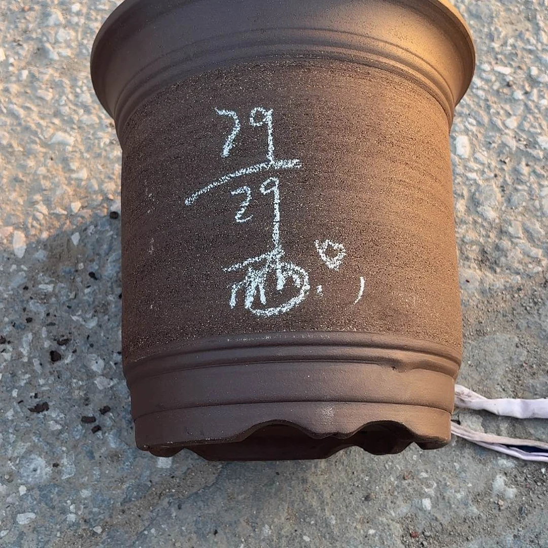 宜兴紫砂花盆，现货发
