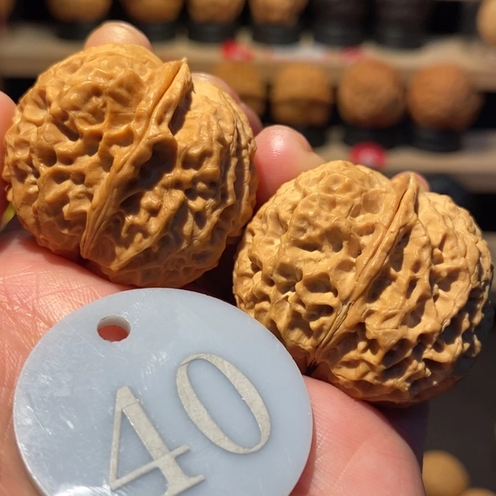 木质类鬼脸元宝37尺寸