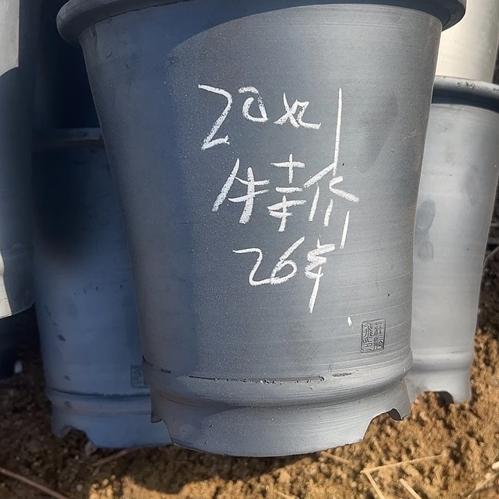 特价直筒口径20高度21