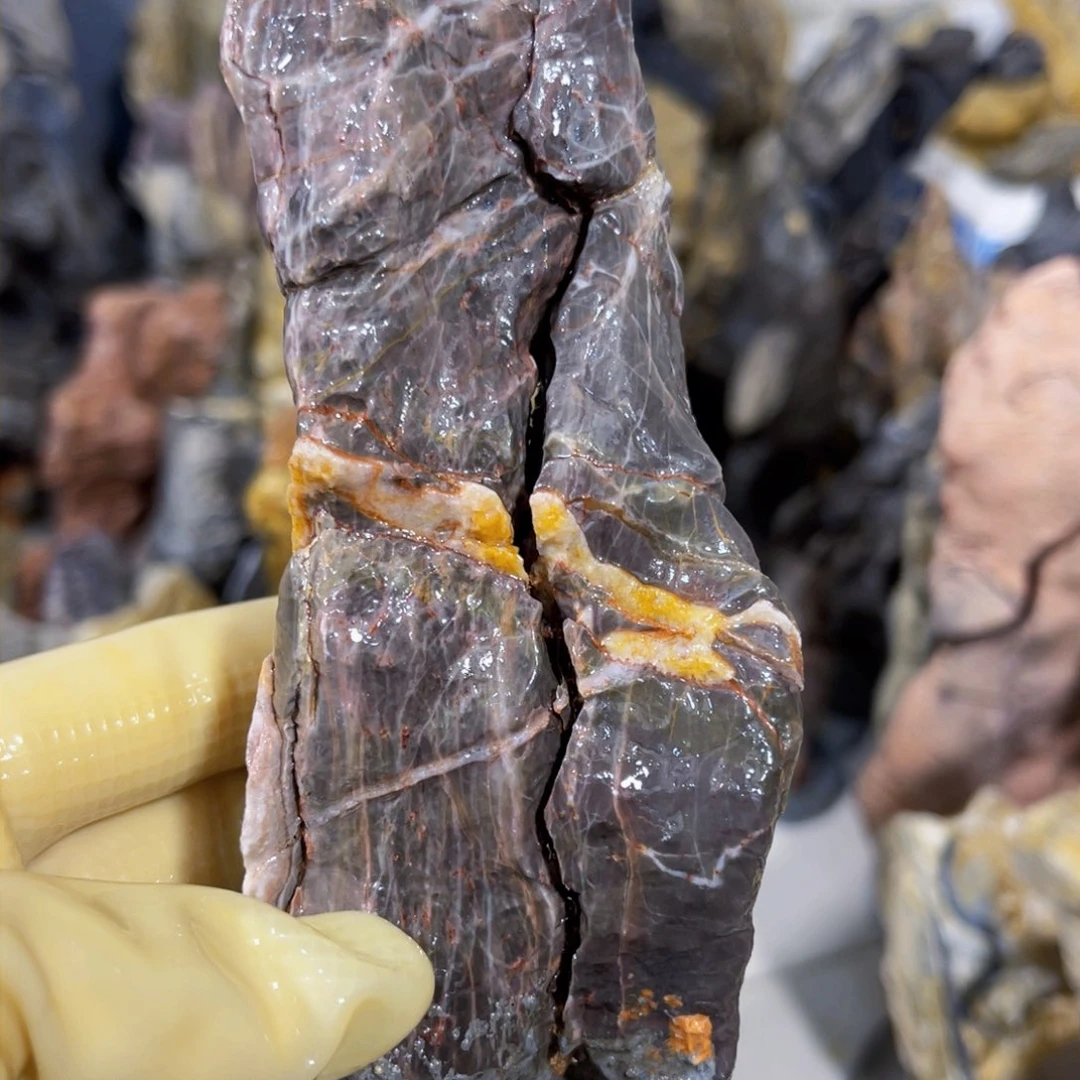 嘟****’附石盆景一物一拍